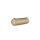 oxybag Schlamperetui PU METALIC gold