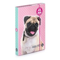 oxybag Heftbox A5 Dog