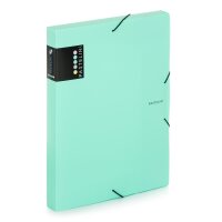 oxybag Sammelbox PP DIN A4 PASTELINI 3,0 cm green