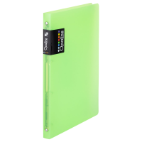 oxybag Ringbuch 4-Ring DIN A4 PP OPALINE grün