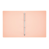 oxybag Ringbuch 4-Ring DIN A4 PP PASTELINI apricot