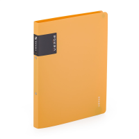 oxybag Ringbuch 2-Ring DIN A4 PP VERDE mustard