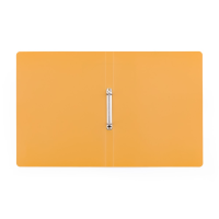 oxybag Ringbuch 2-Ring DIN A4 PP VERDE mustard