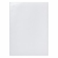 KARTON P+P Dokumentenhülle A4 PVC 120 my 100 Stück